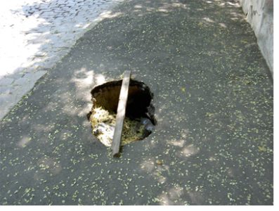 Mehr über den Artikel erfahren 