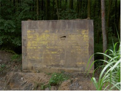 Mehr über den Artikel erfahren 