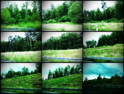 Mehr über den Artikel erfahren 