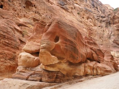 Mehr über den Artikel erfahren Petra