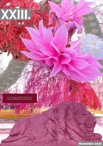 Mehr über den Artikel erfahren Lockdown Light Diaries – November 2020