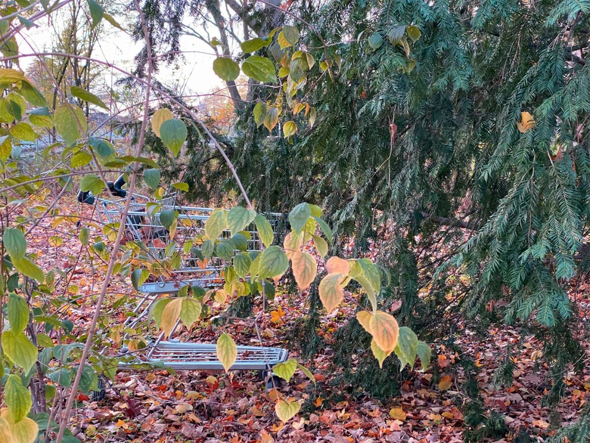 Einkaufswagen im BlÃ¼cherpark