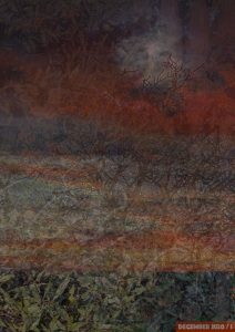 Mehr über den Artikel erfahren Lockdown Diaries – December 2020