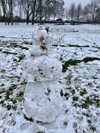 Vegetarian, Picasso style, unknown artist