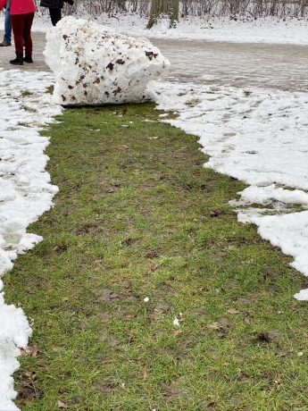 The roll, front view, unknown artist