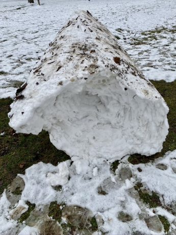 The roll, view from the right, unknown artist