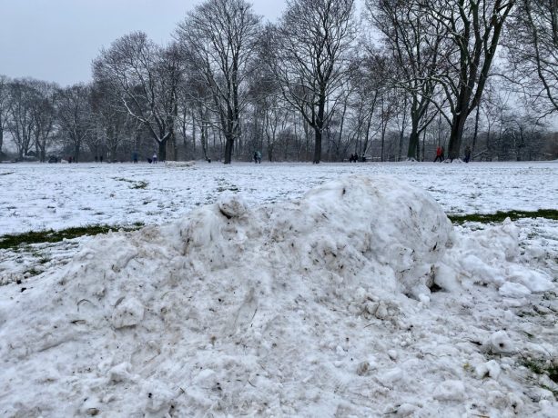 Sacrophage, unknown artist