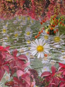 Mehr über den Artikel erfahren 